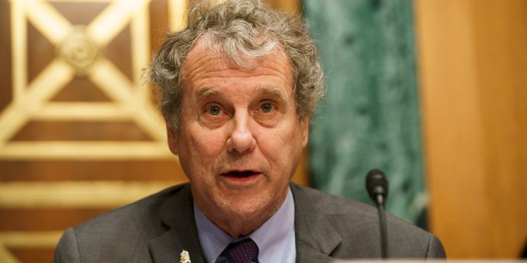 Leading abortion rights group endorses Sherrod Brown for reelection