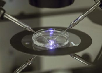 Majority in new poll disagrees with Alabama IVF ruling