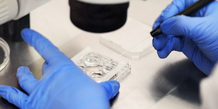 Alabama fertility clinics restarting IVF treatments after new law gives legal cover