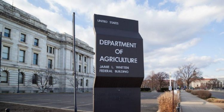 Trader Joe’s recalls dumplings possibly containing hard plastic