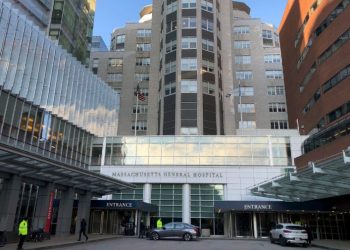 Pig kidney transplanted into human patient for first time