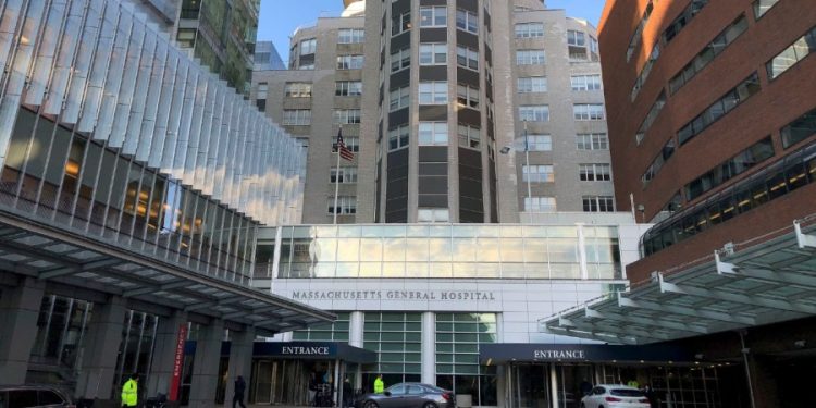 Pig kidney transplanted into human patient for first time