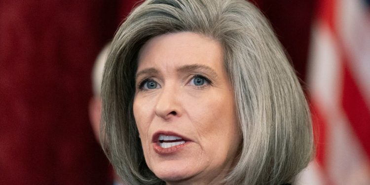 GOP senator praises Roe reversal after Arizona ruling: ‘We worked very hard to get this result’