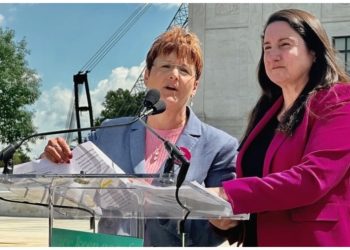 Idaho Democratic leader: Stomach ‘queasy’ after Supreme Court abortion case