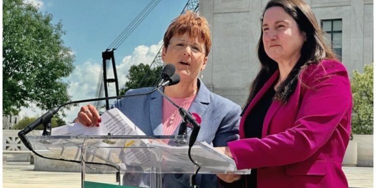 Idaho Democratic leader: Stomach ‘queasy’ after Supreme Court abortion case