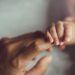 US birth rate falls to record low after pandemic bump