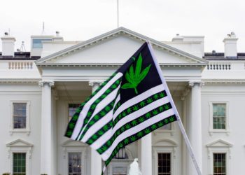 Biden administration plans to ease marijuana restrictions