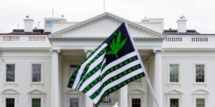 Biden administration plans to ease marijuana restrictions