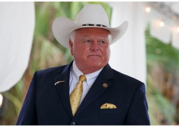 Rare bird flu infection nothing to panic over: Texas agriculture commissioner