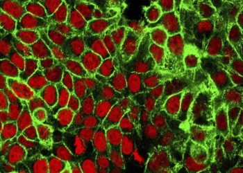 Why younger adults are missing early signs of colon cancer