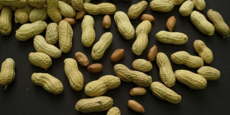Feeding peanuts to young children can reduce allergy risk: Study