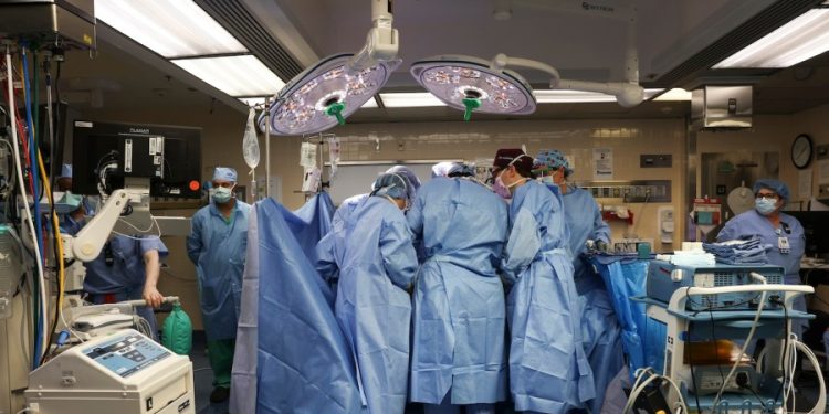 First human to receive modified pig kidney dies