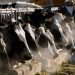 Officials pledge reimbursements for dairy farms impacted by avian flu