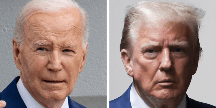 Trump team knocks Biden campaign Mother’s Day video: ‘Sad’