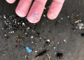 Microplastics ‘pervasive’ in human testicles: New study