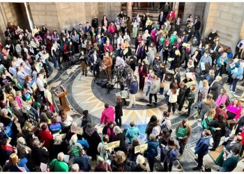 South Dakota abortion-rights initiative supporters submit enough signatures to make ballot