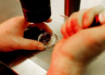 Senate Republicans introduce legislation to legalize IVF treatment nationally