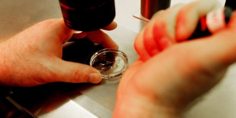 Senate Republicans introduce legislation to legalize IVF treatment nationally