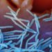 CDC issues simplified RSV vaccine guidance for seniors