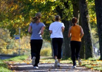 Diet, exercise may slow decline in some Alzheimer’s patients: Study