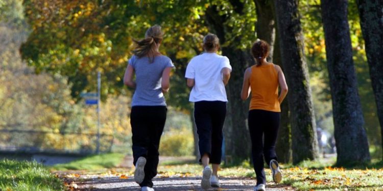 Diet, exercise may slow decline in some Alzheimer’s patients: Study