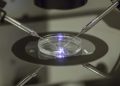 82 percent say IVF is morally acceptable: Gallup poll