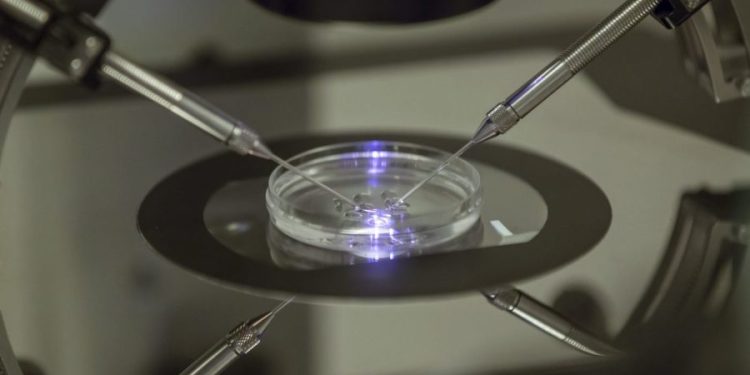 82 percent say IVF is morally acceptable: Gallup poll