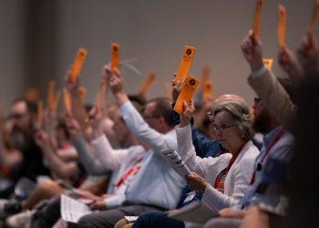 Southern Baptist Convention votes to oppose IVF