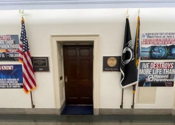 GOP’s Rosendale hangs anti-IVF posters outside office