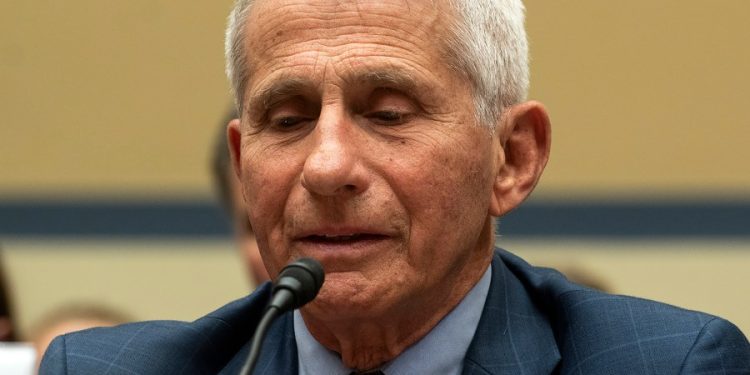 Fauci blames Trump admin staff for feeding him misinformation, animosity