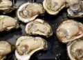 FDA issues shellfish warning for paralytic toxins