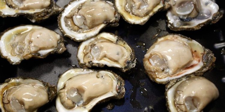 FDA issues shellfish warning for paralytic toxins