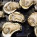 FDA issues shellfish warning for paralytic toxins