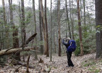 Hikers are infecting Virginia wildlife with COVID-19, study finds