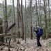 Hikers are infecting Virginia wildlife with COVID-19, study finds