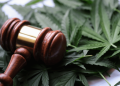 Republicans lodge last ditch protest against marijuana rescheduling