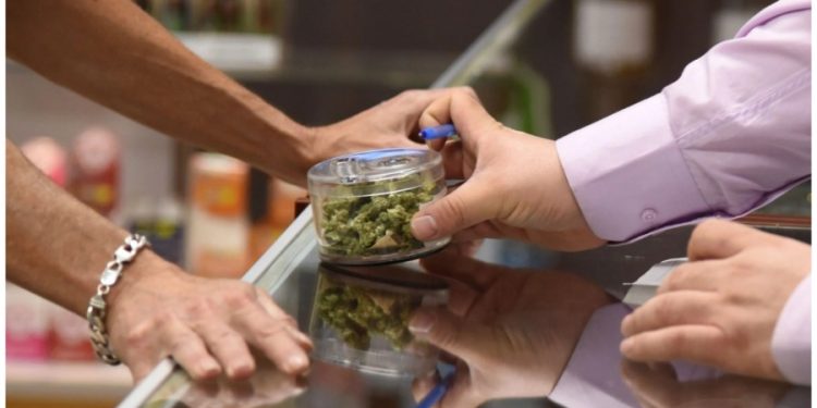 Cannabis, hallucinogen use at ‘historically high levels’: Research