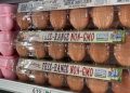 Rising egg prices linked to bird flu’s impact on supply chain
