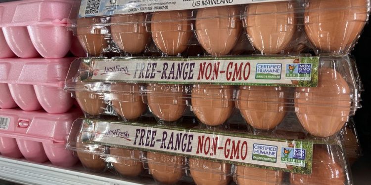 Rising egg prices linked to bird flu’s impact on supply chain