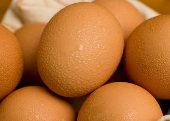 CDC issues warning over recalled eggs sold in three states