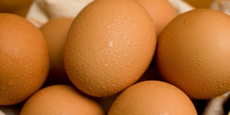 CDC issues warning over recalled eggs sold in three states