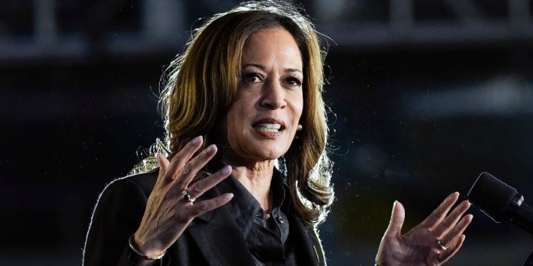 Harris blames reports of pregnancy-related death in Georgia on ‘Trump Abortion Bans’