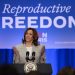 Democrats’ election abortion strategy falls flat