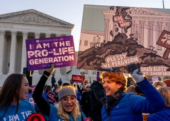 Abortion opponents unveil strategy to undermine state protections