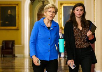 Warren: ‘Visceral’ response to insurance CEO’s killing should be ‘warning to everyone in the health care system’