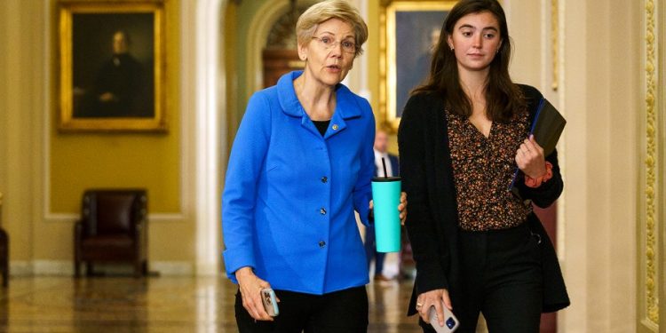 Warren: ‘Visceral’ response to insurance CEO’s killing should be ‘warning to everyone in the health care system’