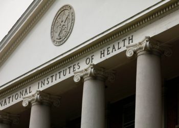 Trump administration halts NIH grant-making process