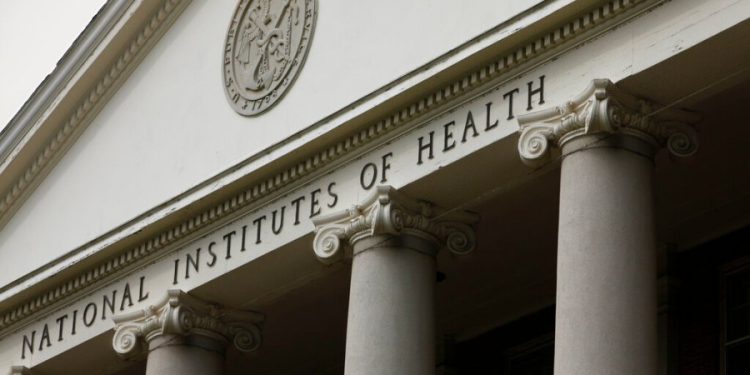 Trump administration halts NIH grant-making process
