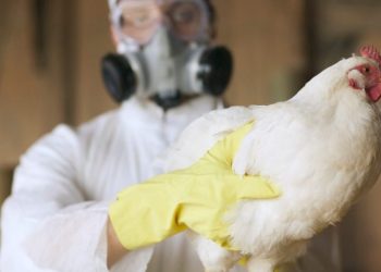 U.S. records first death from bird flu amid growing concerns