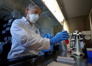 USDA working to rescind terminations for fired officials working on bird flu efforts